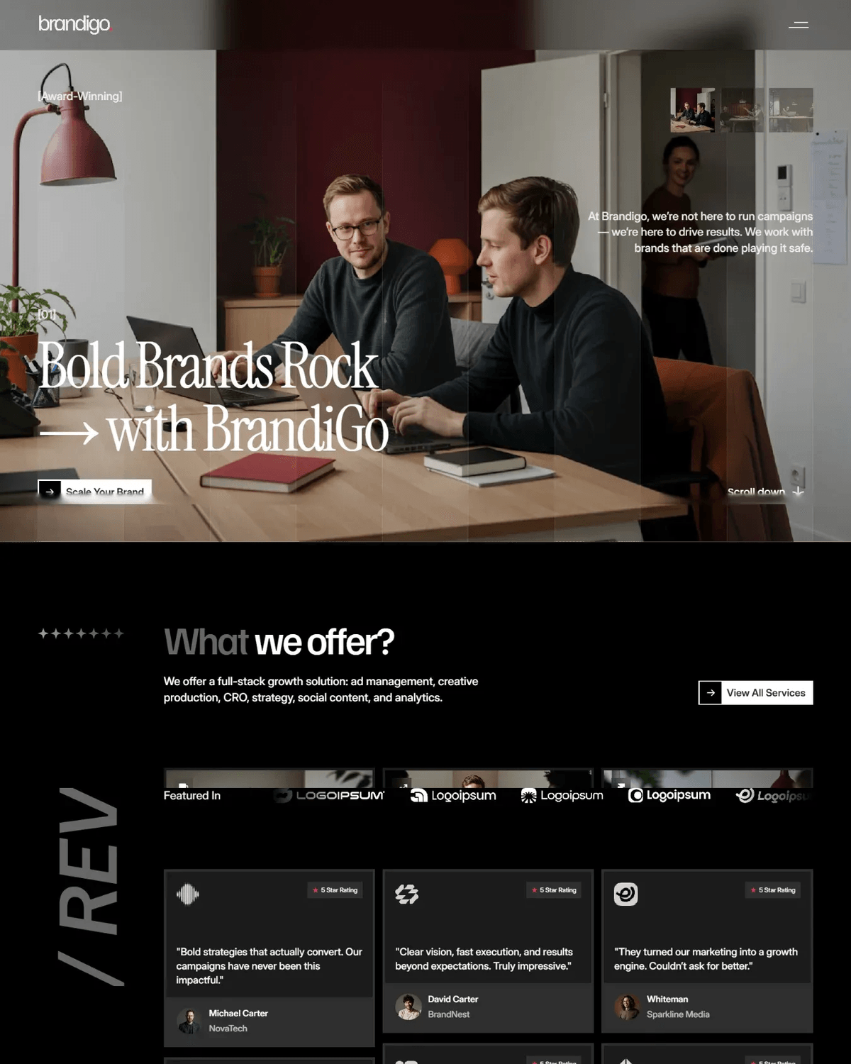 Brandigo - Bold Marketing Agency screenshot
