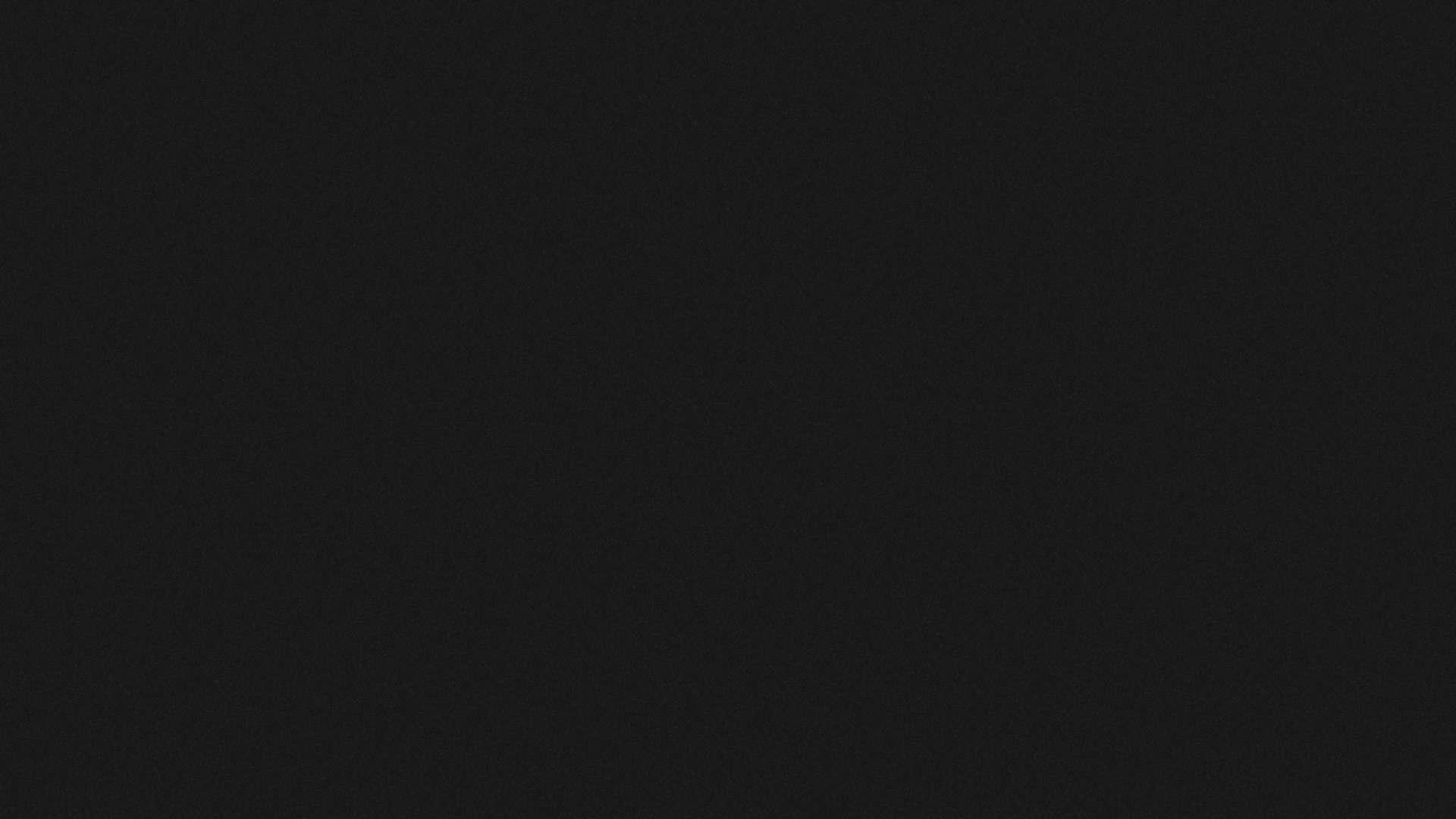 Vizcom preview